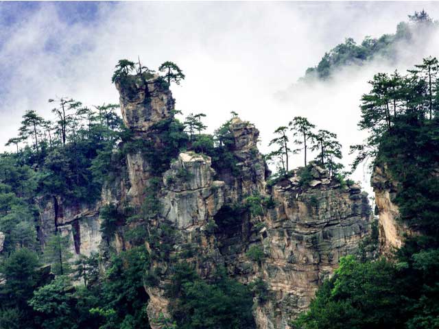 Nature11