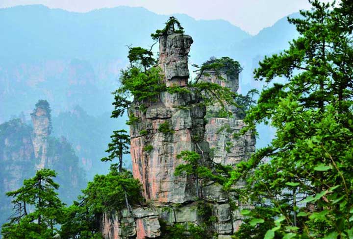 Nature5