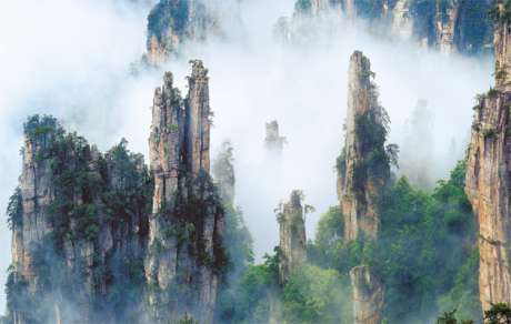 Nature11